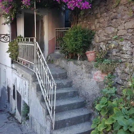 דירה Michelina House מנרולה